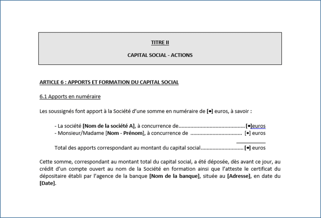 Modele statut SAS type
