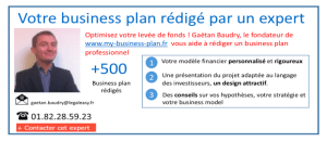 expert en business plan